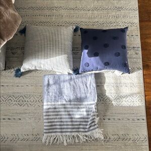Target Blue and White Accent Pillows